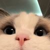 meawmeaw2743
