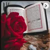 user1772316209734