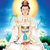 hoa_huong_duong_1985