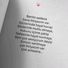 sevgim_sonsuz833