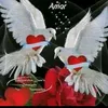 user6224916988177