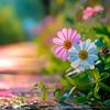 shakilahamed7580