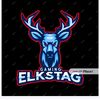 elkstag.gaming47