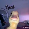 .20268110