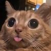furina_90