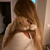 petswc