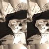 veraa.sfr_