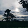 nova.putra45