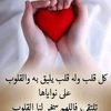 user94516278299811