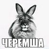 4eremsga