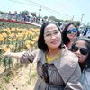 liyajing68