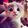 mewinggirll21