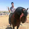 مزرعة حاج مهدي لتبوريدا 🐴