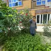 fahima.noori88
