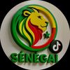 senegal_tiktok20