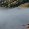 ggggbnid