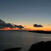 n3310019