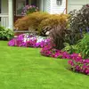 Clean everything