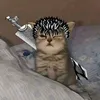 k_ma1x