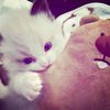 tsya_026