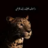 rafaal492