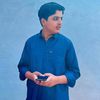 aligondal1658
