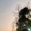 aksara___2