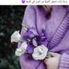user82627519151404