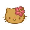 dhoha__450
