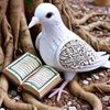 mr_adeel_mayo