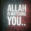 dua.malik342