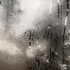 giad504_