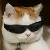 bigosik_2