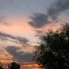 zaj_1999