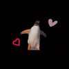 shipper.pingvinen0