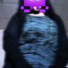 hanacabdi233