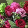 user8201967525998