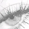 nourchams061