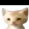 user7733490374385