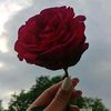 anhar8340