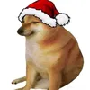 el_perrito_argentino