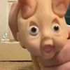 gianpierooo21223333333