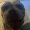 rio__._.__
