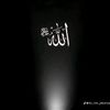 user366401784