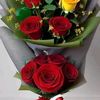 hazal.kayaci5