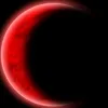 luna.rojatienda