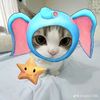 afifa.amelia43
