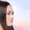 leinadlre_2.0