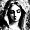 user7301228302