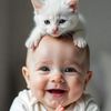 the.cutest.videos